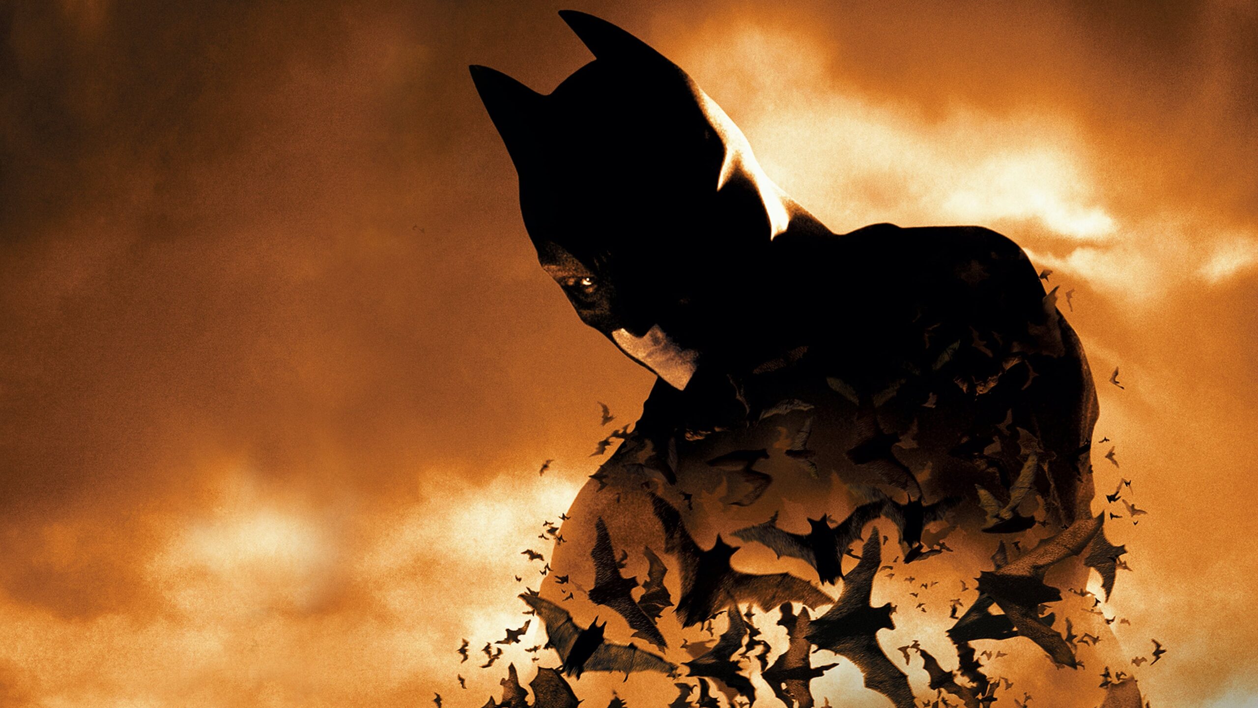 Batman Begins Similar Movies